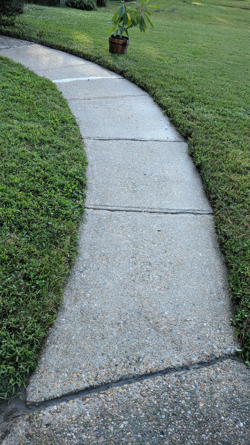 Illustration for article titled Got tired of power washing my driveway. Gave the Stringbean a spray scrub.
